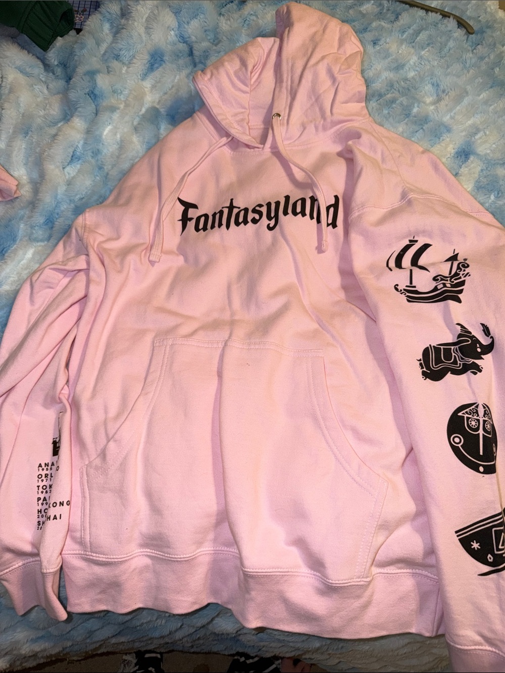 Disney FantasyLand hoodie